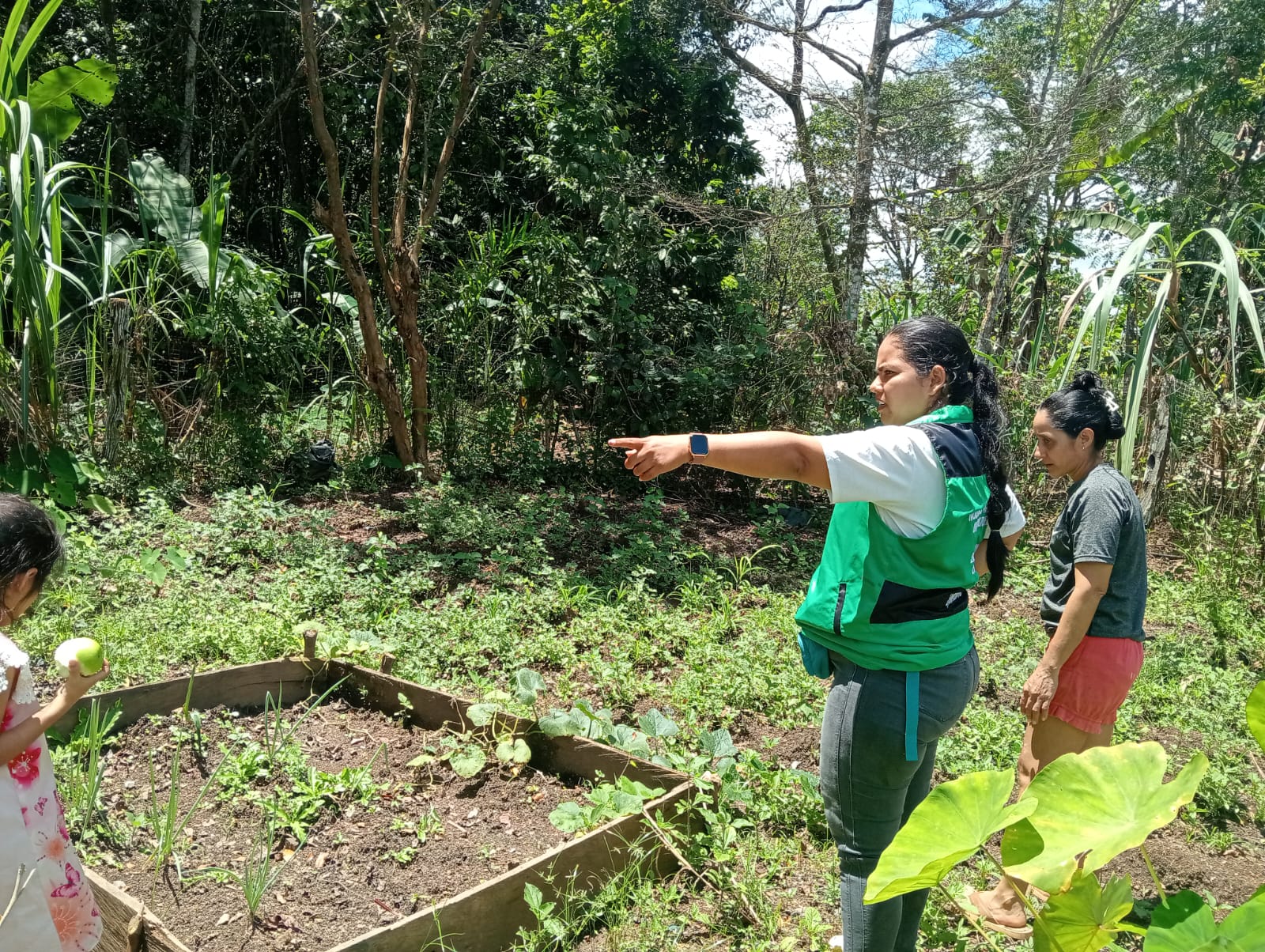 Jardín comunitario Forjar Para el Futuro